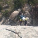 비둘기길 이미지