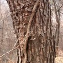 송담2로 이미지