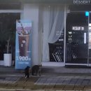 GS25 가평파란채점 이미지