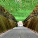 단양-단양-02 이미지