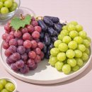 사파이어로 이미지