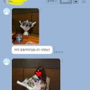 플로리에스텔논현꽃집 이미지