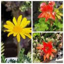 안성천 연결도로 | 청주콜밴의 청주시 청원구 오창에서 인천공항 가는 즐겁고 안전한 콜밴 이야기 후기