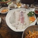 물과물고기 이미지