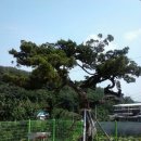 석교마을회관 이미지