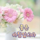 7월25일 화요일(소중한 친구~~) 이미지