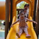 백일홍어린이공원 이미지