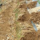 신동아농장 이미지