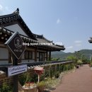 다화이야기 | ​[전남/영광] 초록 가득한 힐링 공간, 영광 ‘카페다화’ 내돈내산 솔직 후기 ☕✨
