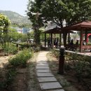 이곡장미공원 이미지