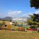 정도푸드 에딘버러CC 스타트하우스 | 금산 [에딘버러 cc] 마운틴 코스 가을 라운딩 후기(예약,그늘집 정보)