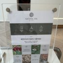 청담마사지 네츄럴 스파 블랑 후기(커플마사지 추천)