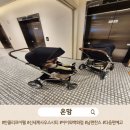 클리프 | 반클리프 아펠 웨이팅 후기｜신세계 사우스시티 방문 현실