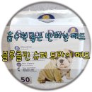 강한흡수력의 애견패드 :: 블루 클린 슈퍼 드라이 반려견 패드 후기