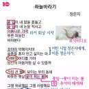 하늘바라기 이미지