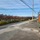 동읍147 | 팀아쿠아 창원점