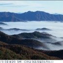 태백하늘소 이미지