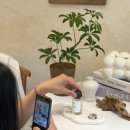 원데이클래스-퍼품 이미지