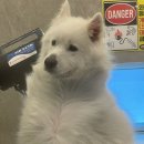 멍스 컨테이너 이미지