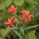 페이드PC방 이미지