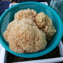 자연산 능이버섯 산도라지 영지버섯 황철갓 삽주 꽃송이버섯건재 팝니다 이미지