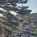 팔도왕족발 네이버블로그