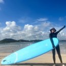 표선856 | 제주 서핑 제주표선 서핑스쿨 재방문했어요 (물공포증 날려드림)