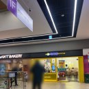 올라비양 | 인천 탈모 성지 주안 부평 헤어라인 두피문신 잘하는곳 라비에르 헤어라인 1회차 찐후기!