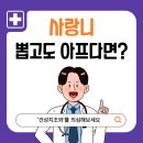 정준우사과나무치과의원 네이버블로그