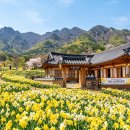 수림가든 이미지