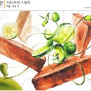 라임디자인 이미지