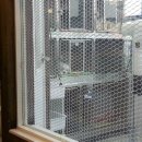 반창꼬동물병원 이미지