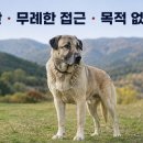 초원켄넬 네이버블로그