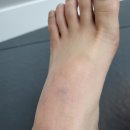 삼바리(진주평거점) 이미지
