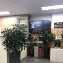 으뜸모터스 이미지