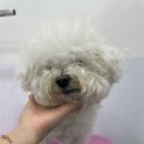 이뻐질개 이미지