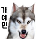 닥터호오동물병원 네이버블로그