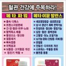 와인메타 네이버블로그