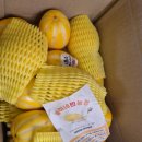 율이네농장 | [농라]율이네 찐농장 참외