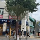 서대문 신촌역로 이미지