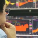 오늘의 미 이미지