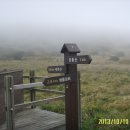 샘물상회 이미지