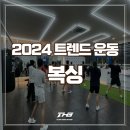 팀홍복싱 이미지