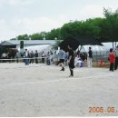 용두초교 이미지