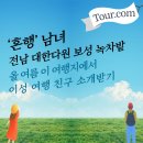 보성녹차닷컴 이미지