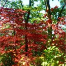 산중문답 이미지