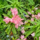 화동공인중개사사무소 이미지