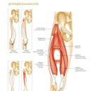 비경휘트니스 이미지