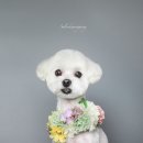 살롱드몽몽 이미지