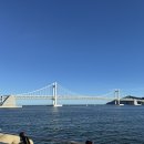 하기마켓 | 광안리 찍먹하기 밀락더마켓 먹방 후기